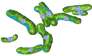 コース全体俯瞰図