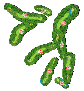 コース全体俯瞰図