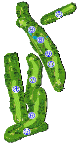 コース全体俯瞰図