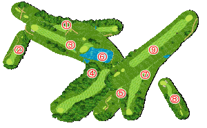 コース全体俯瞰図