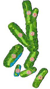 コース全体俯瞰図