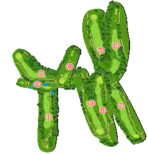 コース全体俯瞰図