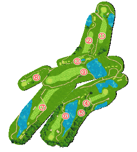 コース全体俯瞰図