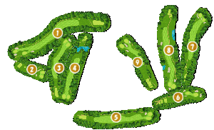 コース全体俯瞰図