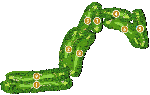 コース全体俯瞰図