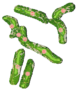 コース全体俯瞰図