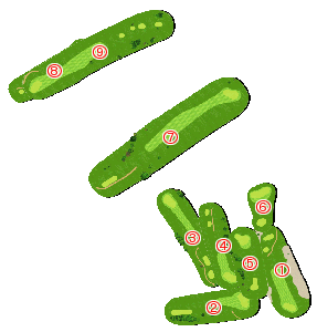 コース全体俯瞰図