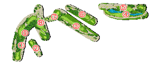 コース全体俯瞰図