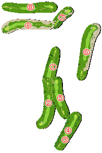 コース全体俯瞰図