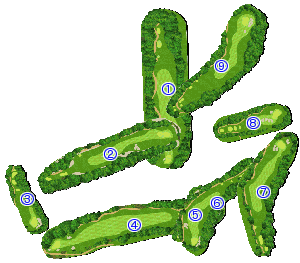 コース全体俯瞰図