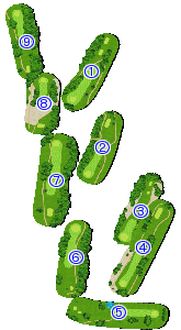 コース全体俯瞰図