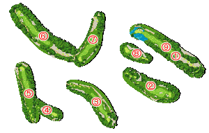 コース全体俯瞰図