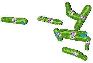 コース全体俯瞰図