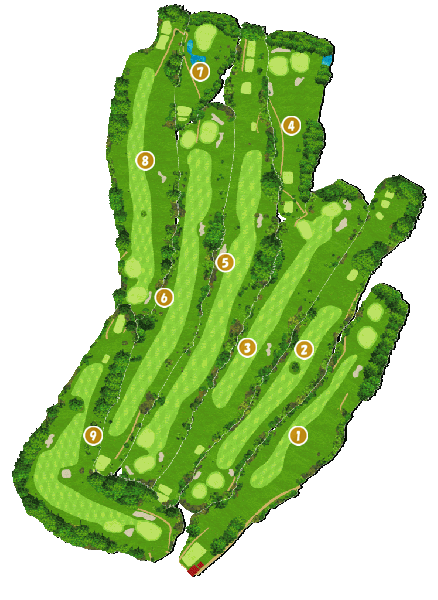 コース全体俯瞰図