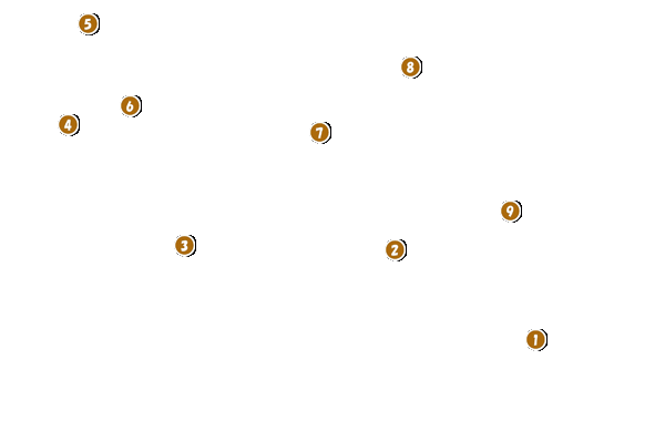 コース全体俯瞰図