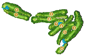 コース全体俯瞰図