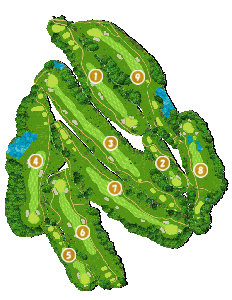 コース全体俯瞰図