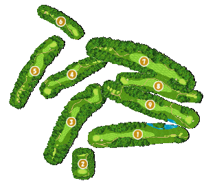 コース全体俯瞰図