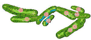 コース全体俯瞰図