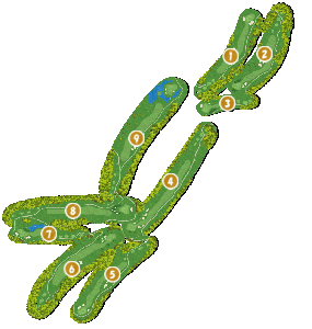 コース全体俯瞰図