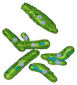 コース全体俯瞰図