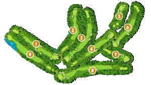 コース全体俯瞰図