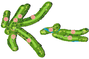 コース全体俯瞰図