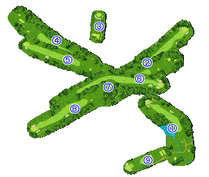 コース全体俯瞰図
