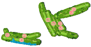 コース全体俯瞰図