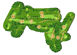 コース全体俯瞰図