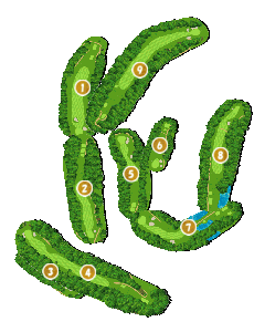 コース全体俯瞰図