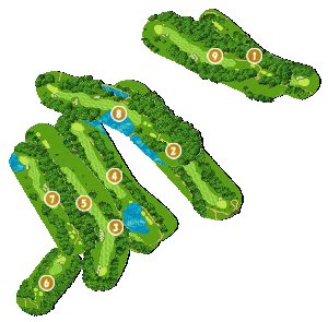 コース全体俯瞰図