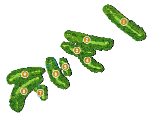 コース全体俯瞰図