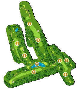 コース全体俯瞰図