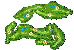 コース全体俯瞰図