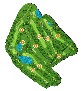 コース全体俯瞰図