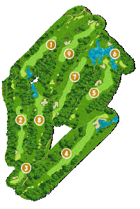 コース全体俯瞰図