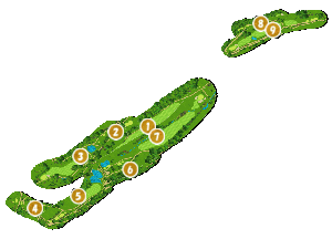 コース全体俯瞰図