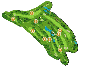 コース全体俯瞰図