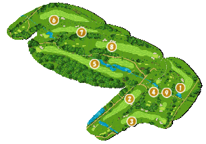 コース全体俯瞰図