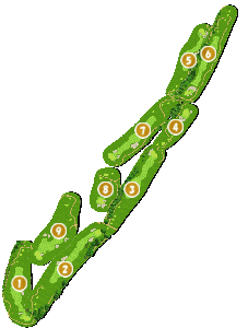 コース全体俯瞰図