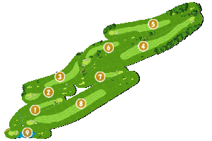 コース全体俯瞰図