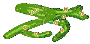 コース全体俯瞰図