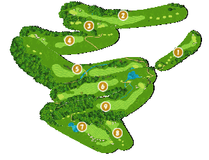 コース全体俯瞰図