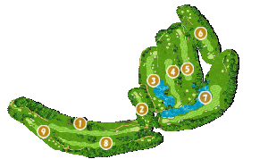 コース全体俯瞰図