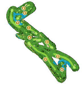 コース全体俯瞰図