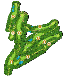 コース全体俯瞰図