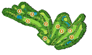 コース全体俯瞰図