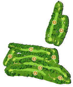 コース全体俯瞰図