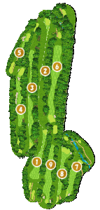 コース全体俯瞰図